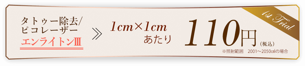 1cm×1cm 110円